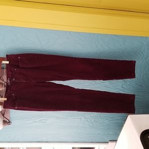 Ann Taylor LOFT Skinny Curvy velvet jeans- size 28/6